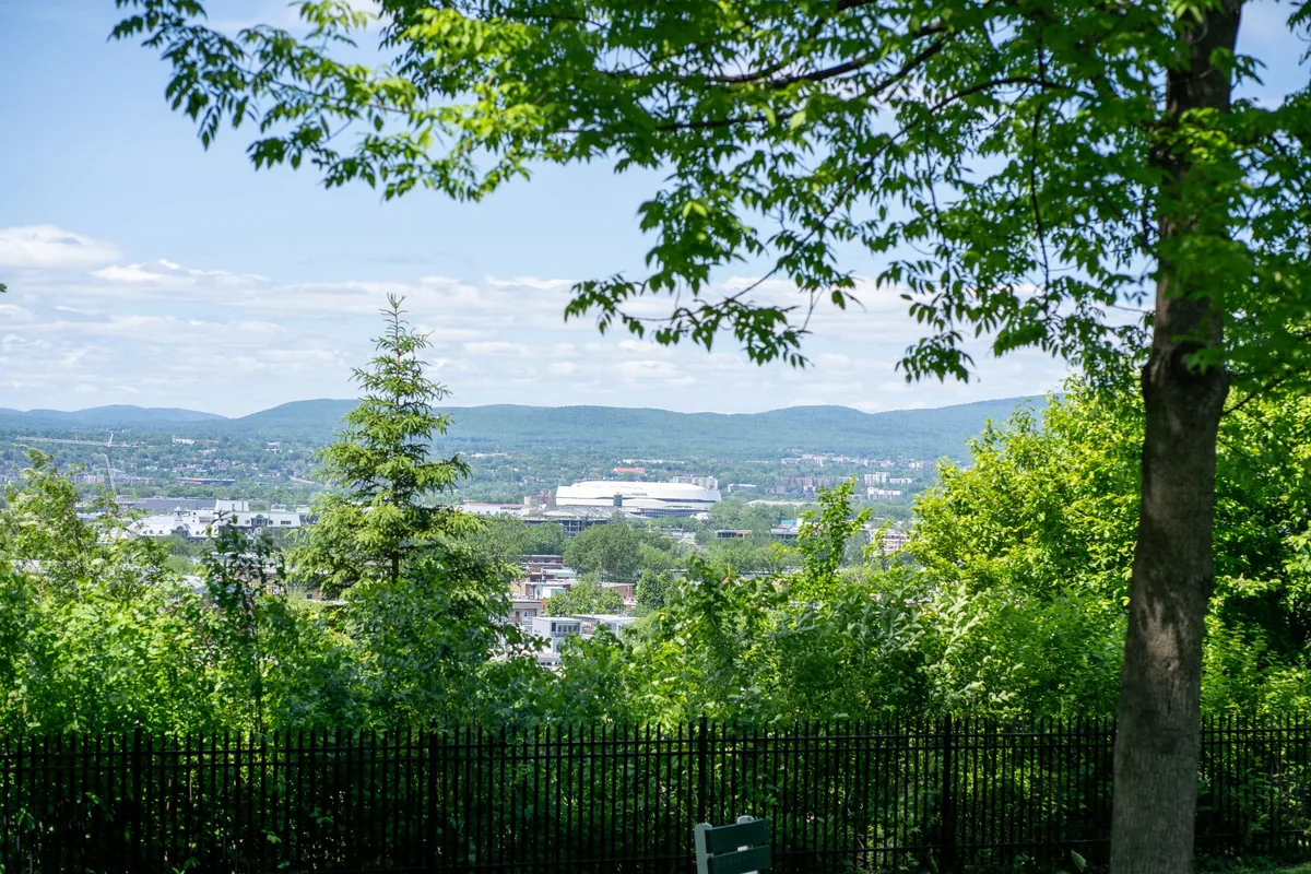 botanical park trees city skyline view