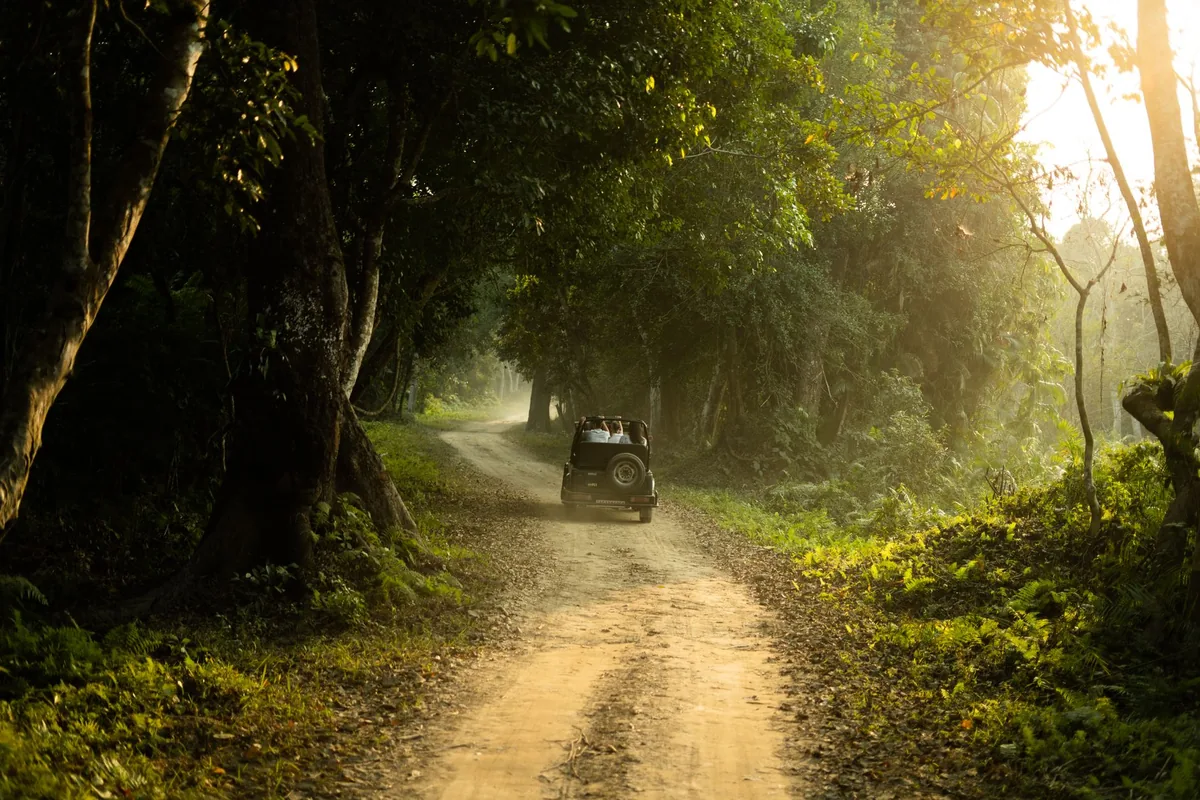 safari vehicle driving on rural dirt road