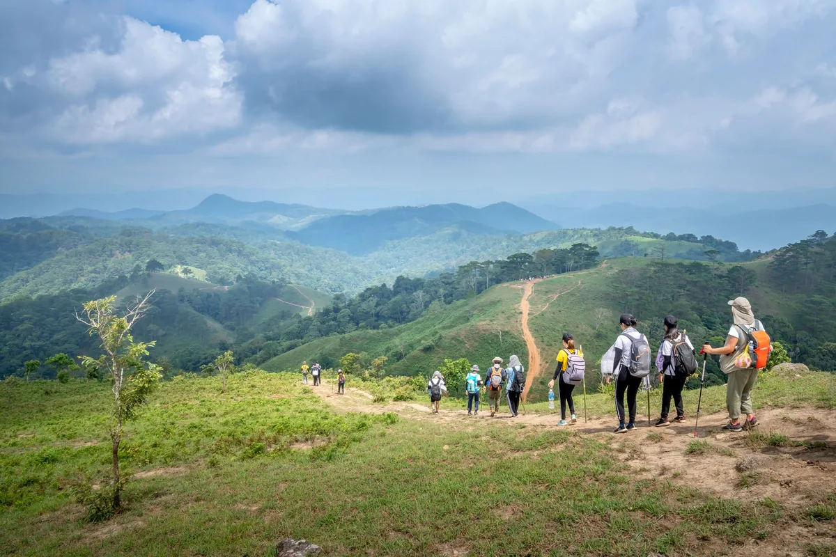 travelers hiking mountain forest trail