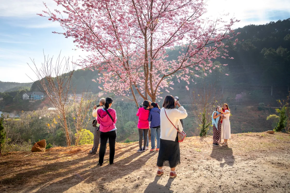 tourist group taking photos