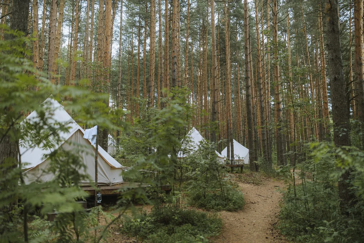 luxury glamping tents forest