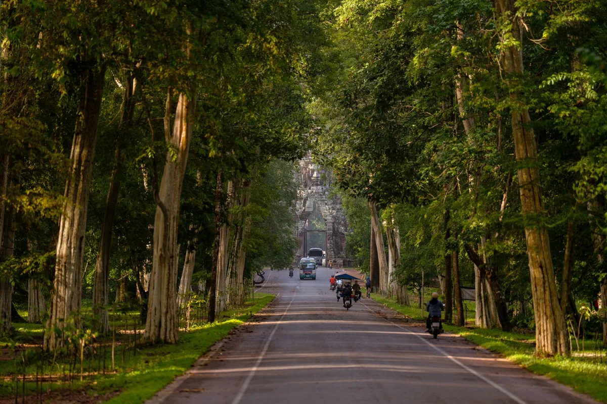 forest resort road entrance