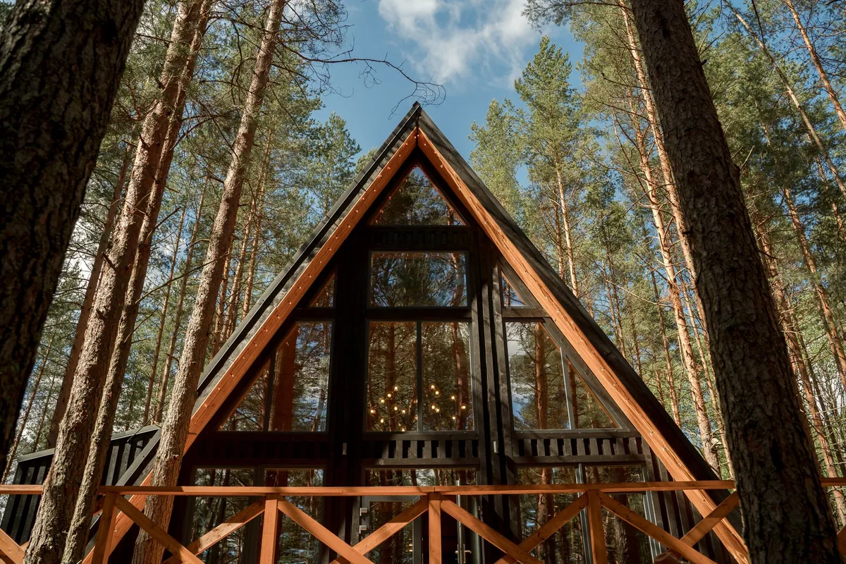 glass cabin structure in forest clearing