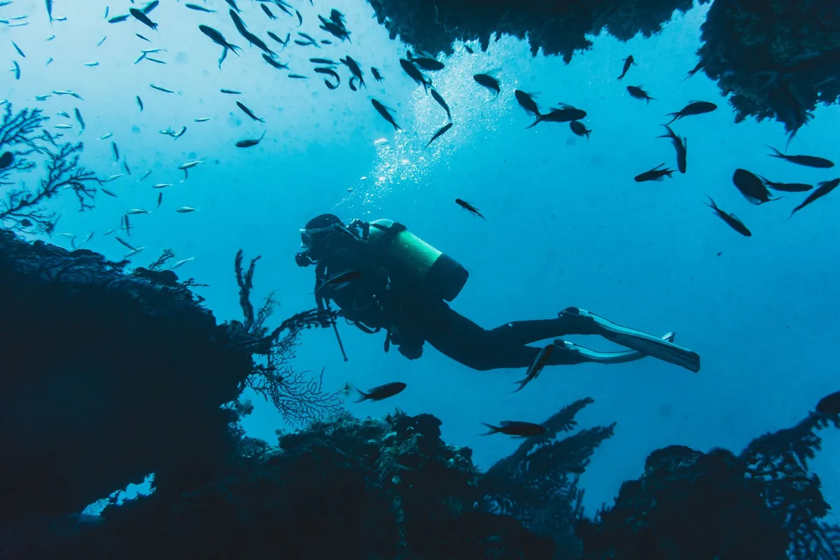 marine biology diver mediterranean sea