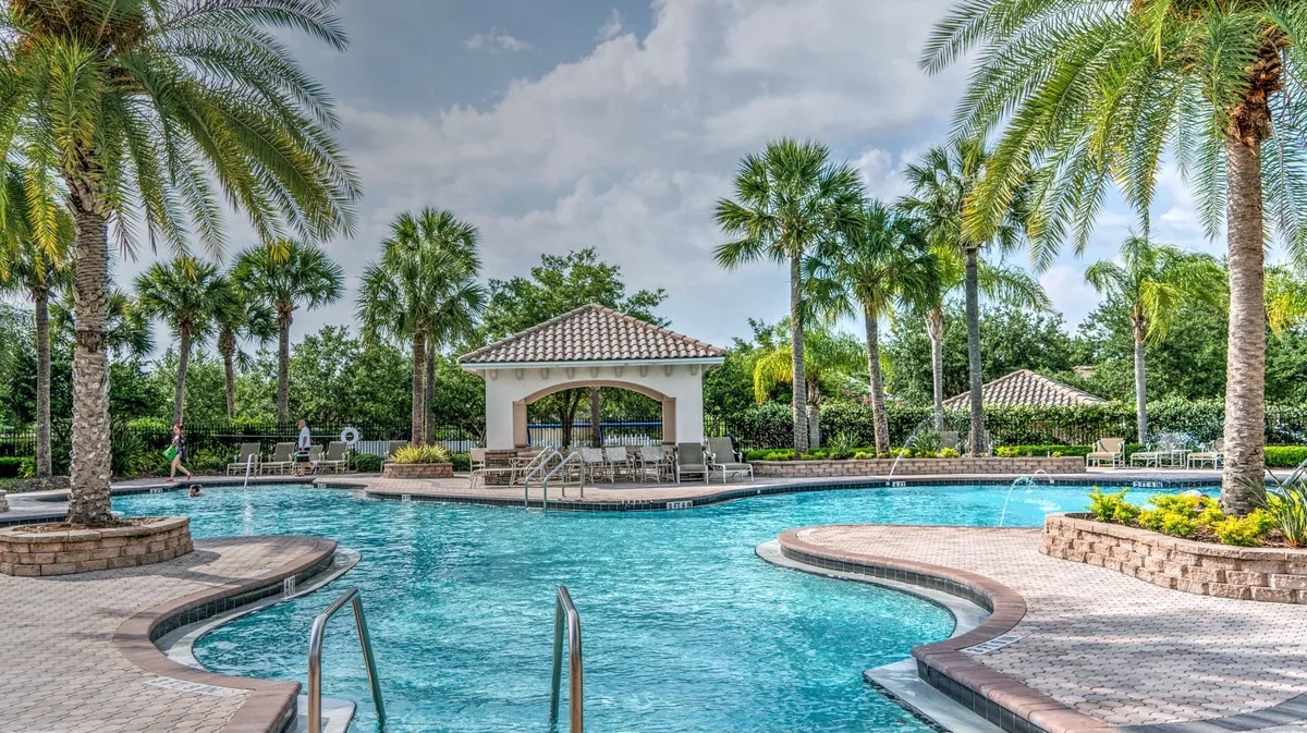 resort swimming pool palm trees