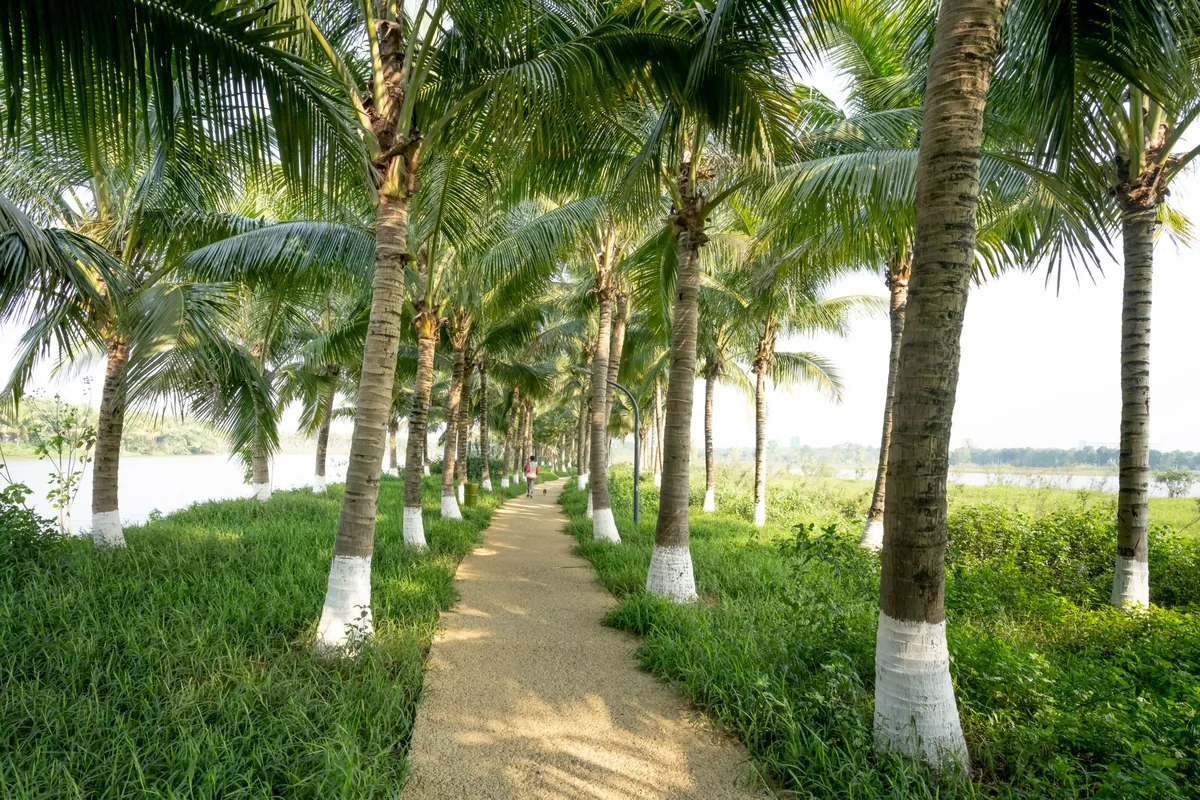 IHCL Signs SeleQtions Resort in Athirapilly, Kerala
