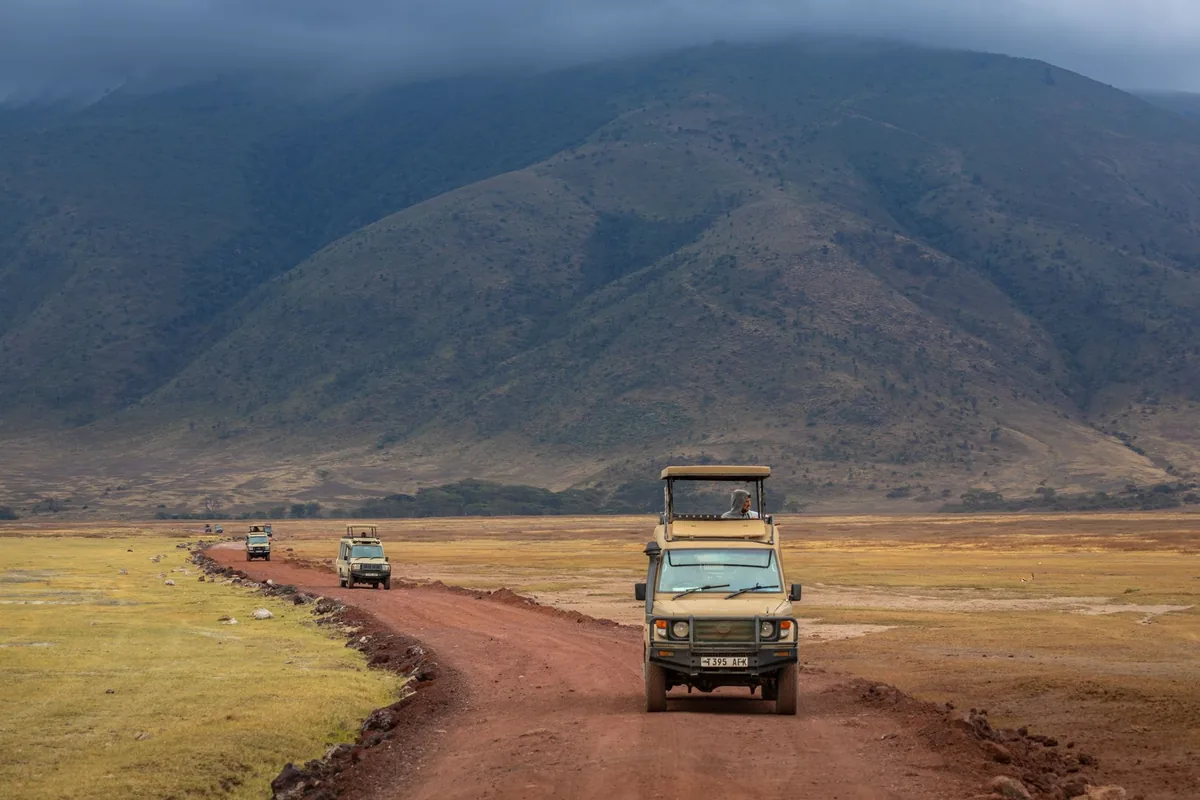 national park safari road