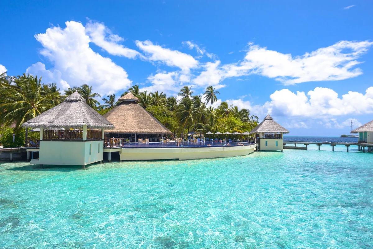 tropical resort bungalow forest lagoon