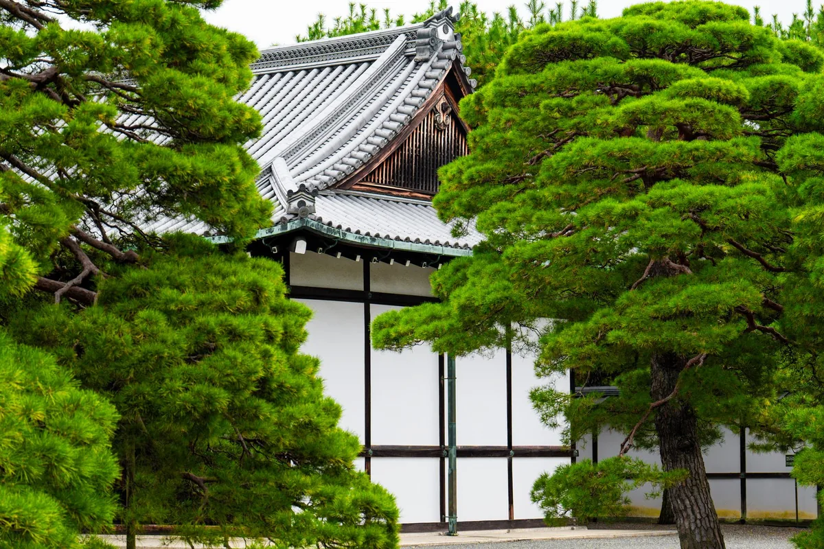 japanese traditional temple garden