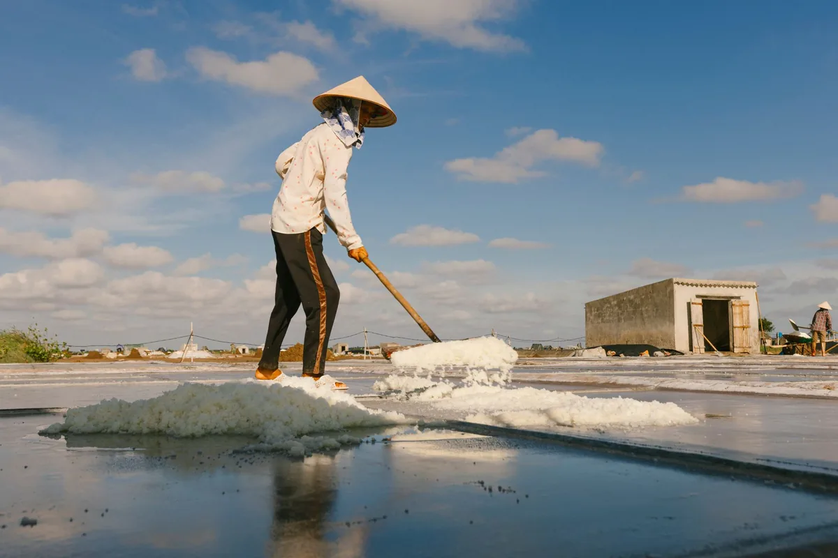 hotel worker raking brown algae off a sandy beach