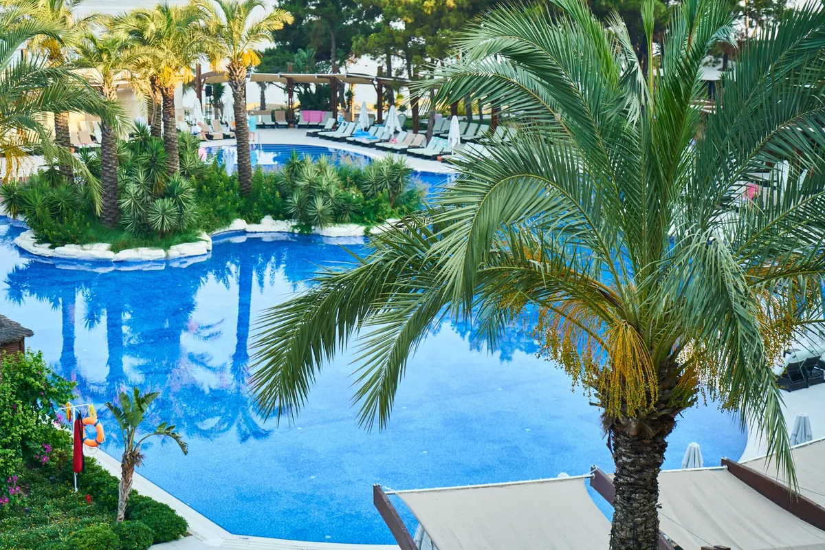 resort swimming pool cabanas palm trees