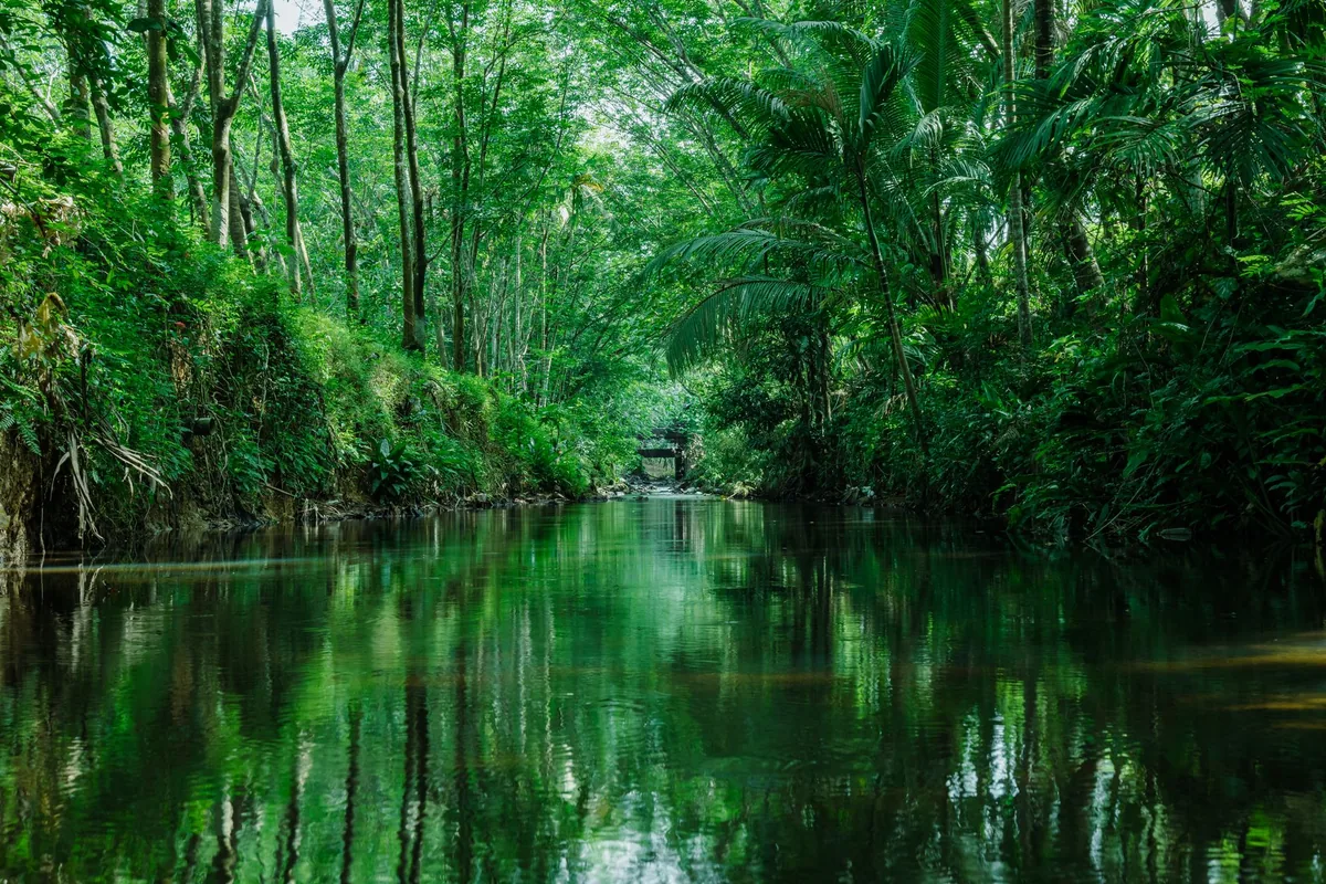clean tropical river waterway