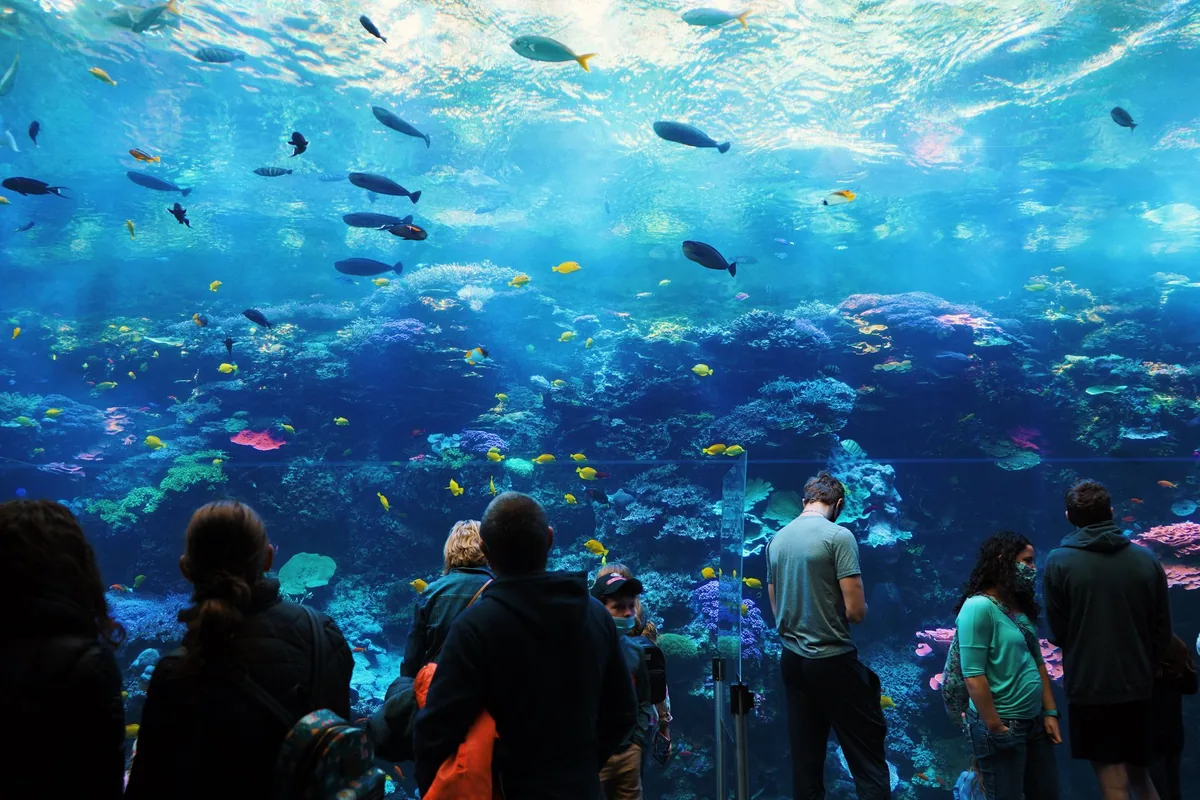 students examining marine life biology exhibits