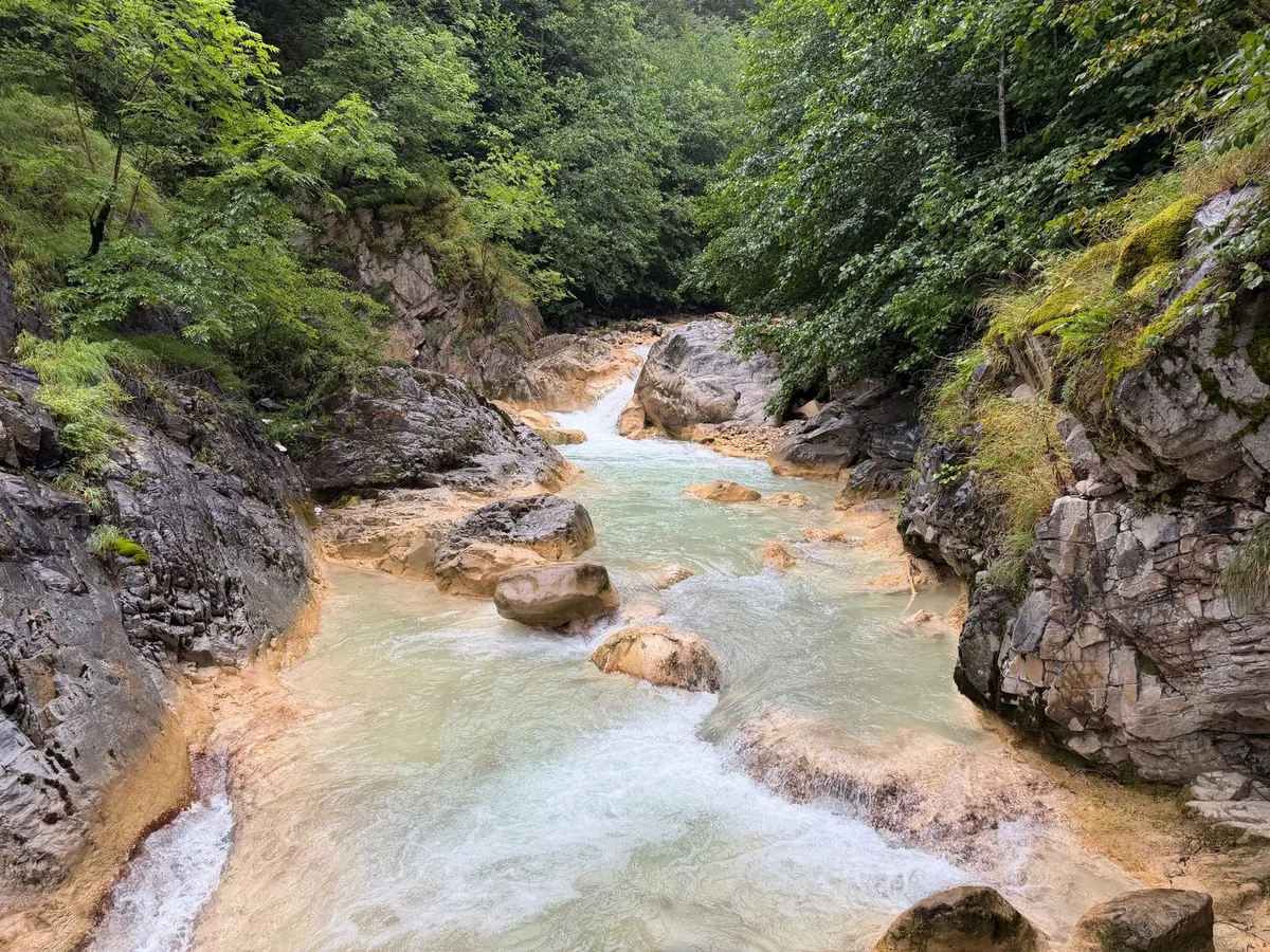 river flowing through mountain forest