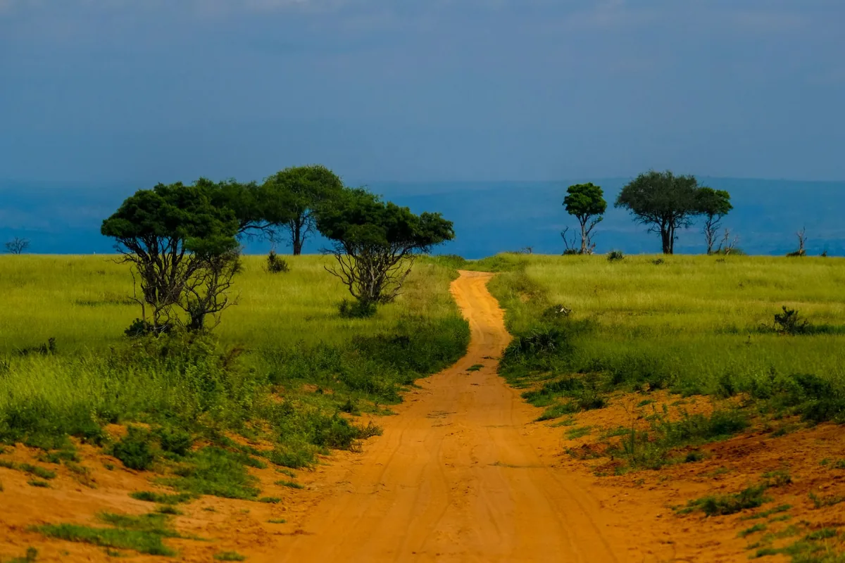 rural safari dirt road