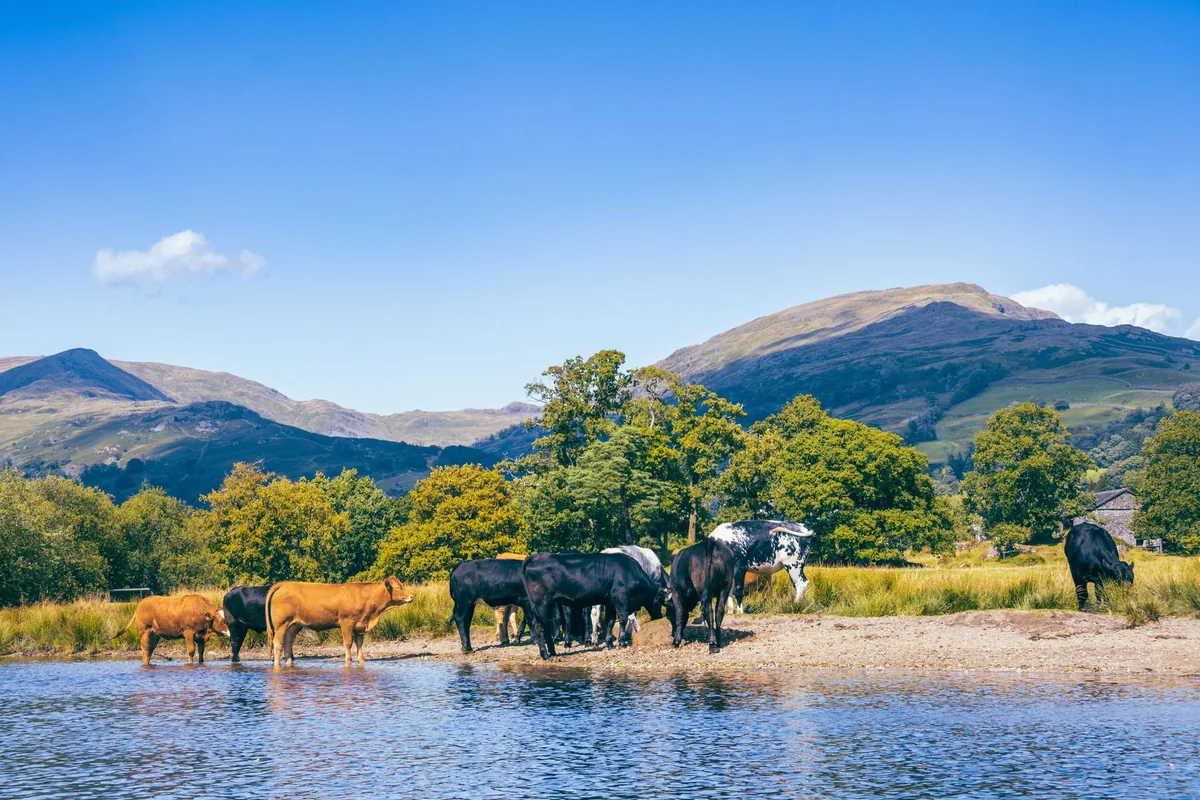 lake district rural landscape