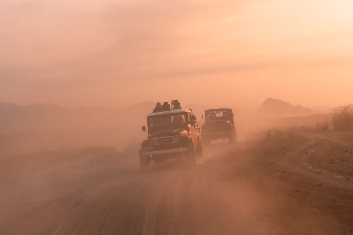 safari vehicle driving dirt track wilderness